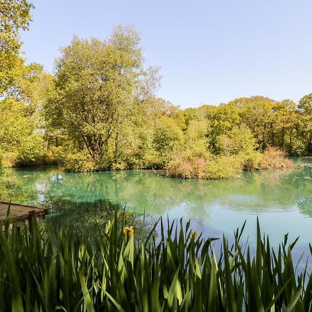 Dove Lodge Beaworthy Экстерьер фото